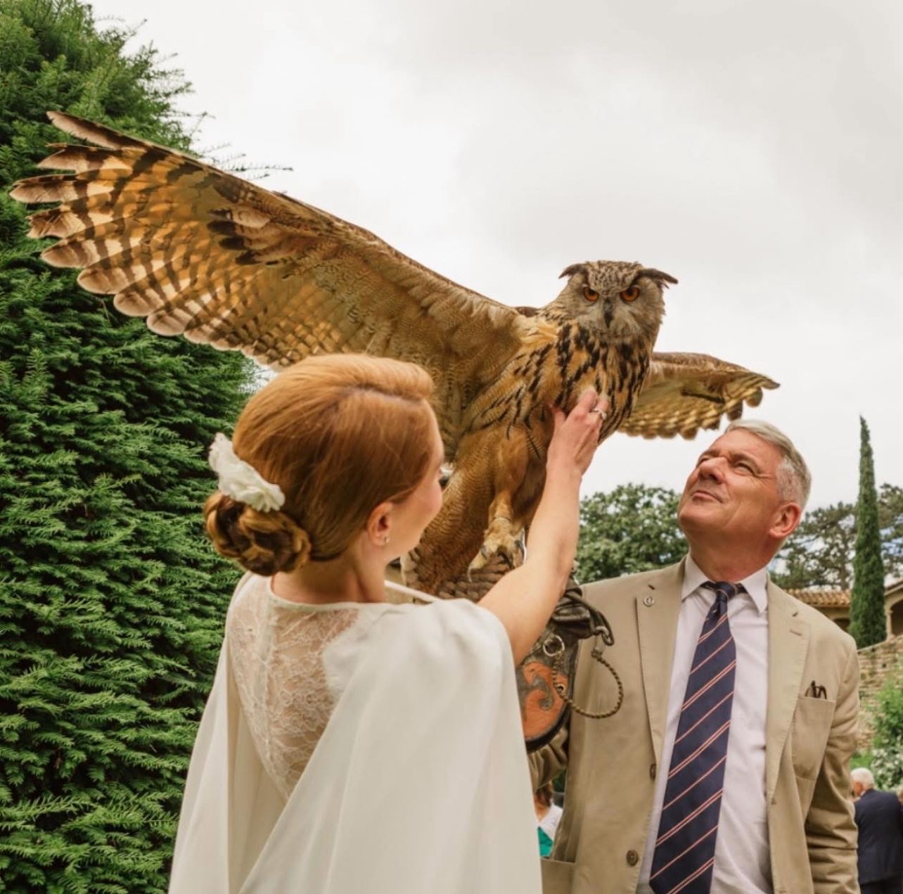Mariée caressant un hibou grand-duc aux ailes déployées